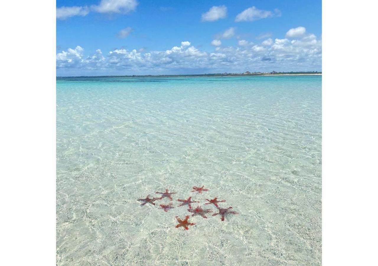 Swami - Maisha Resort Watamu Exteriér fotografie